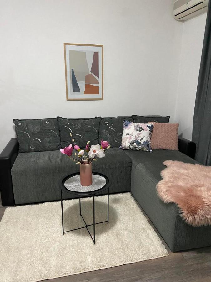 Apartman Aleksic Ягодина Экстерьер фото