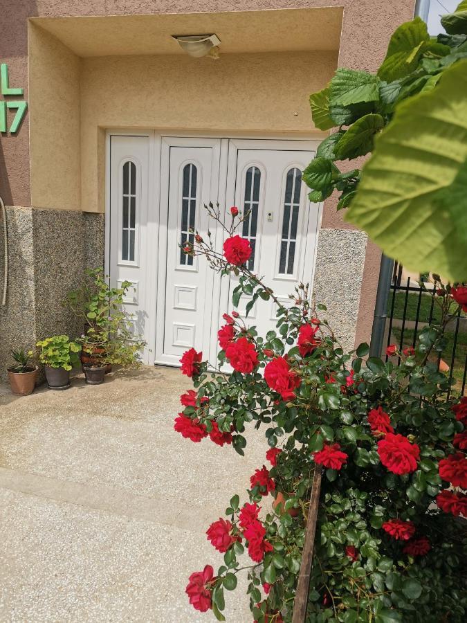 Apartman Aleksic Ягодина Экстерьер фото