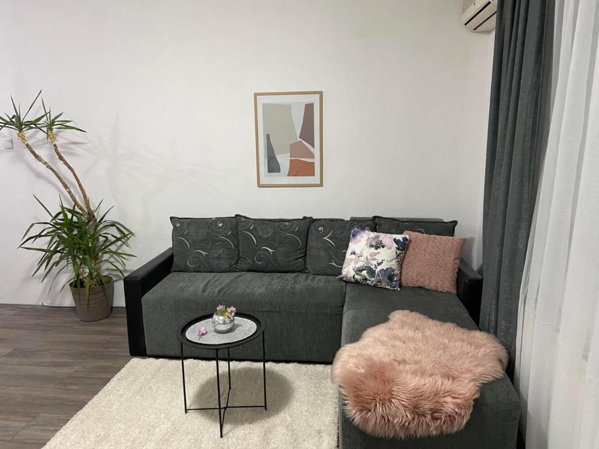 Apartman Aleksic Ягодина Экстерьер фото